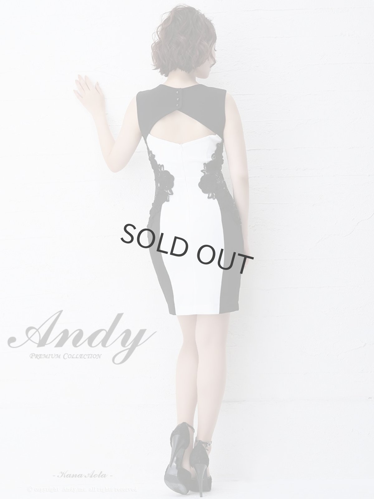 画像5: キャバドレス ミニ ITK バイカラー ケミカルレース ノースリーブ ボディライン ANDY(S/M)(ベージュブラック/ホワイトブラック) (5)